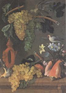 Juan de  Espinosa Still Life with Grapes (san 05) France oil painting art